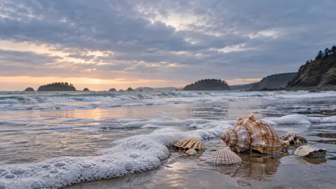 Seashells beside gentle sea foam – fine-art photography Frame TV art