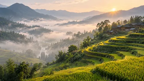 Terraced rice valley in morning mist – fine-art natural photography Frame TV art