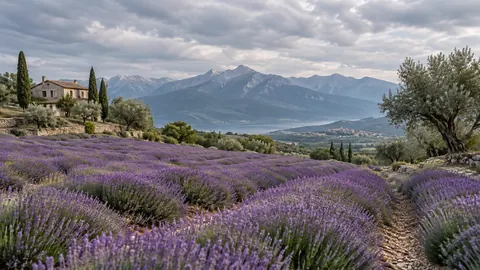 Lavender field beside distant mountains – fine-art natural photography Frame TV art