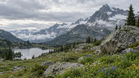 Alpine meadow with scattered boulders – fine-art natural photography Frame TV art