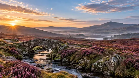 Heather moor and small stone footbridge – fine-art natural photography Frame TV art