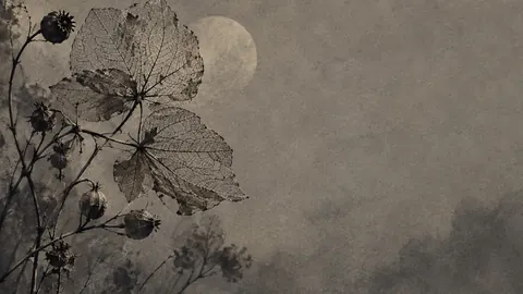 Skeleton leaves and seed pods on grey paper – monochrome minimalist abstraction Frame TV art