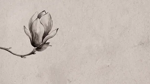 Magnolia bud detail on grey paper – monochrome minimalist abstraction Frame TV art